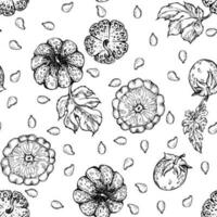 Hand drawn ink vector pumpkin gourd squash, seeds and leaves. Sketch illustration art for Thanksgiving, harvest, farming. Seamless pattern. Design for restaurant menu print, cafe, website, invitation