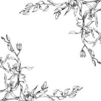 Hand drawn vector ink orchid flowers and branches, monochrome, detailed outline. Square frame composition. Isolated on white background. Design for wall art, wedding, print, tattoo, cover, card.