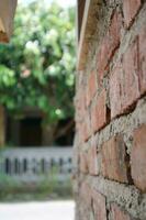 Red brick wall's photo