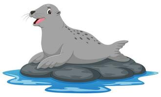 Cartoon sea lion on the rock isolated on white backround. Vector illustration