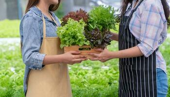 asiático mujer granjero participación un vegetal cesta de Fresco vegetal ensalada en un orgánico granja. concepto de agricultura orgánico para salud, vegano alimento, y pequeño negocio. foto