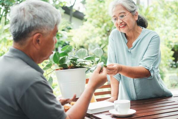 A happy and smiling Asian old elderly woman is planting for a hobby after  retirement with her husband. Concept of a happy lifestyle and good health  for seniors. 26644411 Stock Photo at Vecteezy