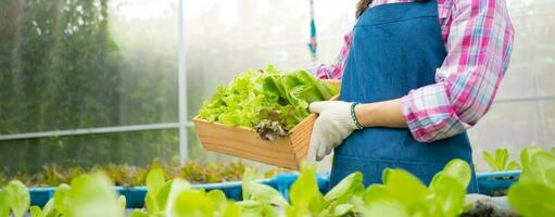 Portrait of happy Asian woman farmer holding basket of fresh vegetable salad in an organic farm in a greenhouse garden, Concept of agriculture organic for health, Vegan food and Small business. photo