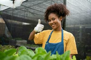 Portrait of happy half Thai half African woman farmer standing behind vegetable plot in her backyard. Concept of agriculture organic for health, Vegan food and Small business. photo