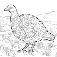 ThanksGiving Coloring Pages photo