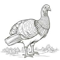 ThanksGiving Coloring Pages photo