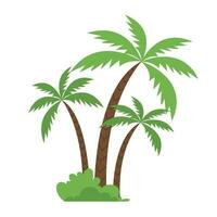 Coconut palm trees with grass. Cartoon flat illustration isolated on white background. vector