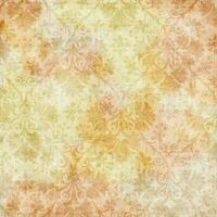 Vintage floral damask scrapbook background or paper overlay photo