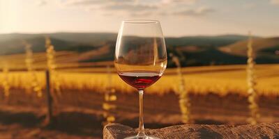 . . Glass of wine before field vineyard. Alcohol beverage vibe. Graphic Art photo