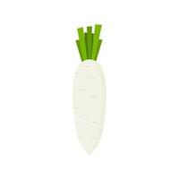 white radish flat design vector illustration