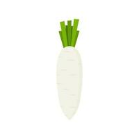 white radish flat design vector illustration