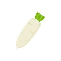 white radish flat design vector illustration