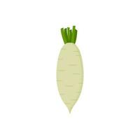 white radish flat design vector illustration