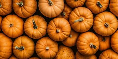 AI Generated. AI Generative. Yellow fresh small pumpkins. Halloween thanksgiving autumn october vegetable. Graphic Art photo