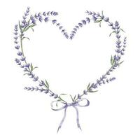 lavanda corazón forma enguirnaldar con cinta. mano dibujado acuarela ilustración de floral marco con salvaje provincia flores en blanco aislado antecedentes. Lavandula para saludo tarjetas o invitaciones vector