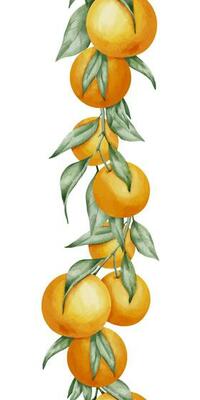 Orange seamless vertical Border. Hand drawn watercolor illustration of citrus tangerine pattern on white isolated background for frame or banner. Tropical mandarin Fruit with green leaves for label