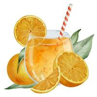 Orange Juice with tropical Fruits and leaves. Hand drawn watercolor illustration of glass with tangerine beverage on white isolated background. Drawing of citrus cocktail with slices of mandarin vector