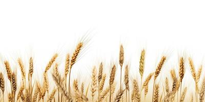 AI Generated. AI Generative. Wheat harvest field plant on canvas. Mockup decoration texture background. Farm harvest food bakery deocration graphics. Graphic Art photo