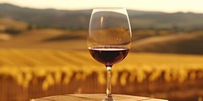 . . Glass of wine before field vineyard. Alcohol beverage vibe. Graphic Art photo
