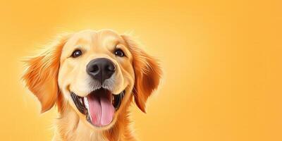 . . Happy cite smile dog frontal face frontal portrait. Animal pet food promotion marketing. Graphic Art photo