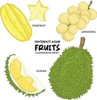 Sureste asiático Fruta ilustración carambola,longkong y Durian vector conjunto