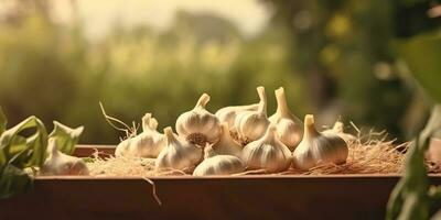 AI Generated. AI Generative. Fresh dry eco organic vegetable garlic. Healthy farm harvest Graphic Art photo