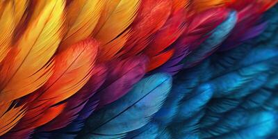 . . Vibrant colorful pattern background texture of color feathers decoration. Graphic Art photo