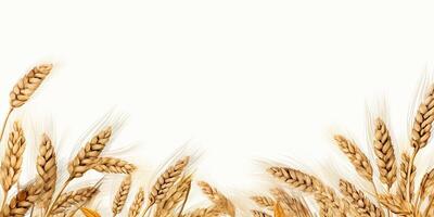 AI Generated. AI Generative. Wheat harvest field plant on canvas. Mockup decoration texture background. Farm harvest food bakery deocration graphics. Graphic Art photo