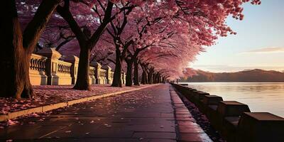 ai generado. ai generativo. hermosa japonés asiático caminar la carretera con florecer Cereza árbol planta arboles romántico calma vacaciones relajarse onda. gráfico Arte foto