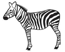 black and white zebra icon vector