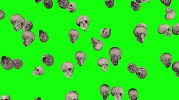 3D Skulls Floating Slow Motion, Green Screen, Alpha Channel, 3D Rendering video