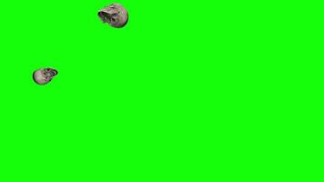 3D Skulls Falling Slow Motion, Green Screen, Alpha Channel Selection, 3D Rendering video