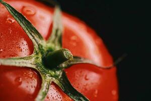 Fresh ripe tomato, organic food photo