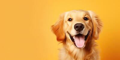 . . Happy cite smile dog frontal face frontal portrait. Animal pet food promotion marketing. Graphic Art photo