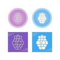 Raspberry Vector Icon