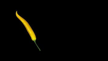 Chili Pfeffer Essen Gemüse platzen von im schwarz Hintergrund video