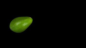 avocado vers voedsel groente barsten van in zwart achtergrond video