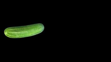 green cucumber vegetable Salad burst of in black Background video