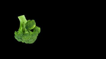 brócoli vegetal Fresco comida Estallar de en negro antecedentes video