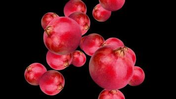 Pomegranate Food Fruit burst of in black Background video