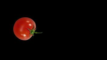 rot Tomate Gemüse platzen von im schwarz Hintergrund video