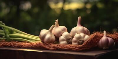 . . Fresh dry eco organic vegetable garlic. Healthy farm harvest Graphic Art photo