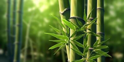 ai generado. ai generativo. eco verde hoja planta árbol bambú. asiático Japón chino cultura tradicion onda. gráfico Arte foto