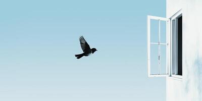 . . Wild open window with flying bird. Free freedom nature go away life vibe. Graphic Art photo