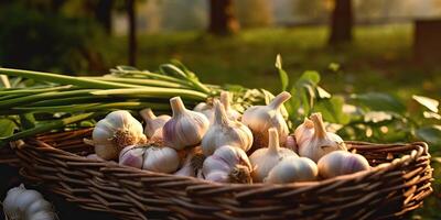 AI Generated. AI Generative. Fresh dry eco organic vegetable garlic. Healthy farm harvest Graphic Art photo