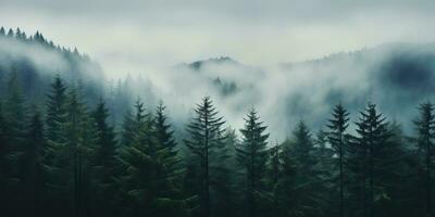 AI Generated. AI Generative. Adventure outdoor nature mist fog clouds forest trees landscape background wild explore. Graphic Art photo