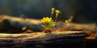 ai generado. ai generativo. hermosa amarillo flor creciente desde de madera ladrillo bloquear mesa. floral poder fuerte naturaleza al aire libre onda. gráfico Arte foto