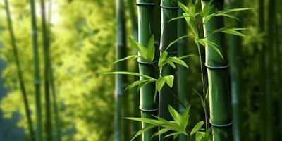 ai generado. ai generativo. eco verde hoja planta árbol bambú. asiático Japón chino cultura tradicion onda. gráfico Arte foto