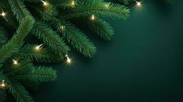 Christmas green fir branch with lights photo