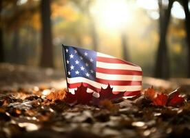 USA flag background photo